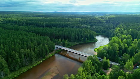 Antena-De-Un-Puente-Sobre-El-Río-Rodeado-De-Pinos-En-El-Bosque