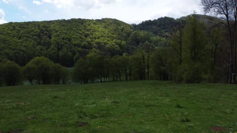 vista aérea de campo verde y árboles en la montaña