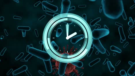 animation of clock and circular scanner over blue blood cells and red covid 19 cell, on black