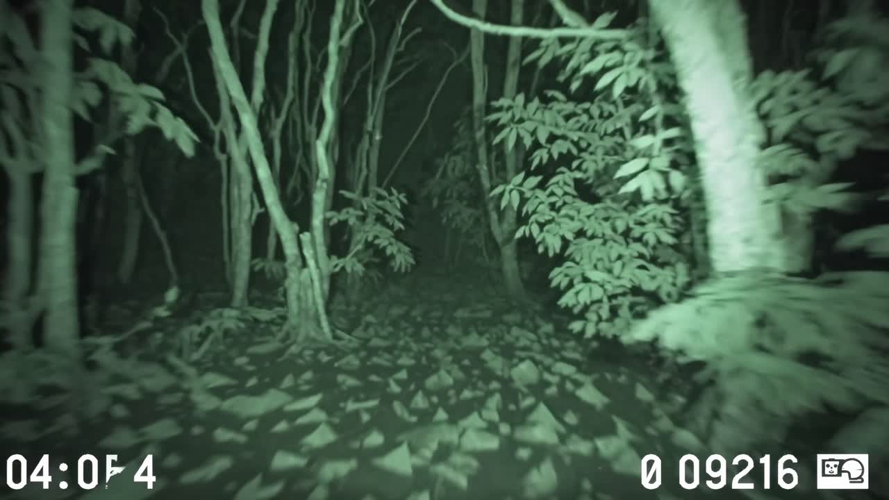 Night vision video captures a narrow forest path from a first-person angle, creating a suspenseful