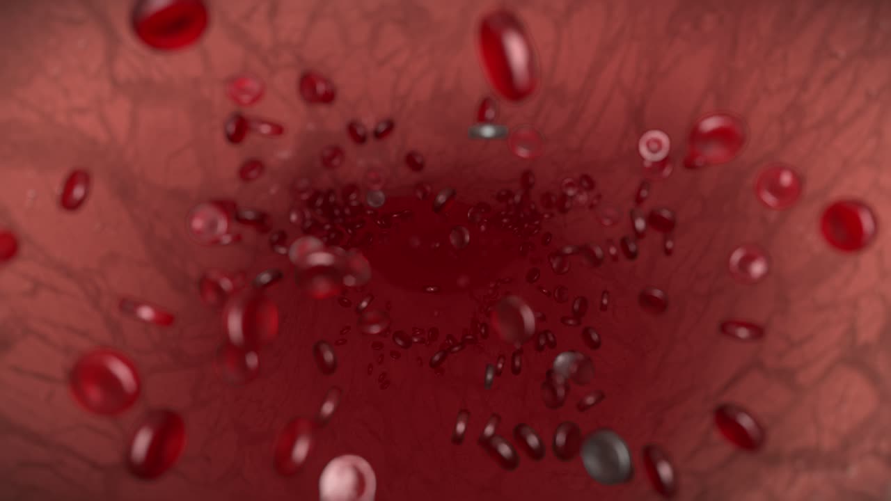 glóbulos rojos glóbulos blancos arterias glóbulos biología ciencias médicas médico 4k