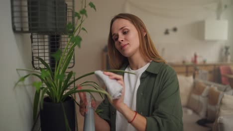 woman cleaning houseplants on a shelf