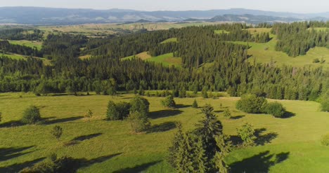 flying over the beautiful forest trees landscape panorama 26