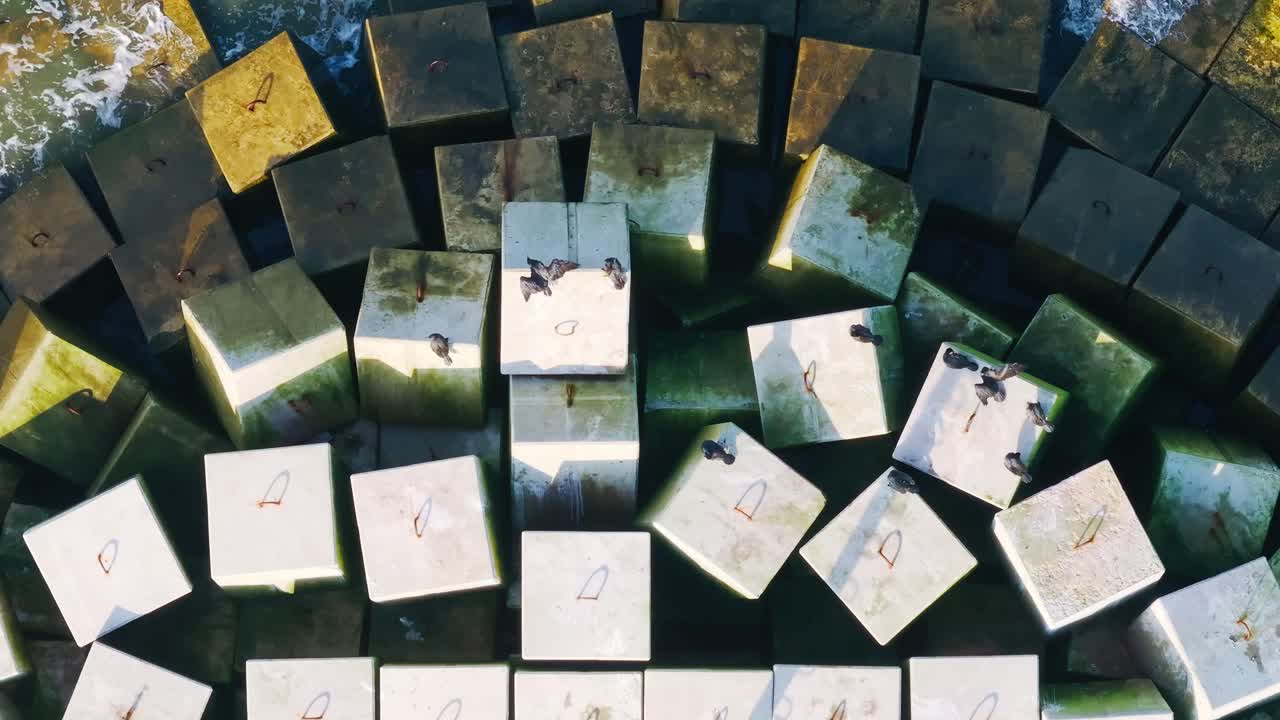 Top down view of Liepaja breakwater with cormorants resting near sea waves