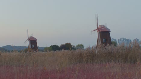 Windmühlen-Auf-Dem-Feld-Ländliches-Dorf-Mit-Stadtgebäuden-Im-Hintergrund