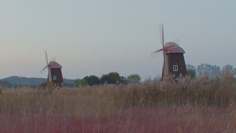 molinos de viento en el campo aldea rural con edificios de la ciudad en el fondo