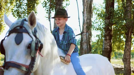 little boy on the farm is sitting on a white horse and a grooming with a brush