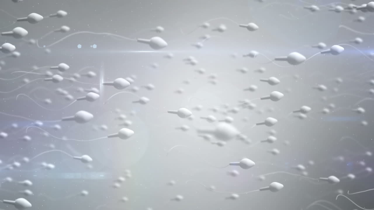 움직이는 난자가 정자에 의해 수정되고 있습니다.