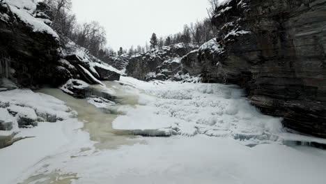 cañón con río congelado rodeado de árboles forestales sin hojas, invierno