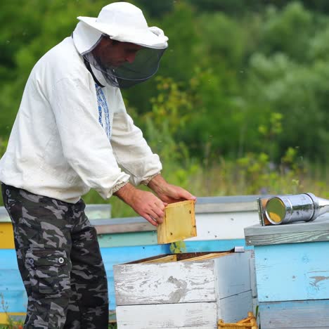 hardworking beekeeper checks beehives in an apiary. man in protective white uniform at garden with many beehives