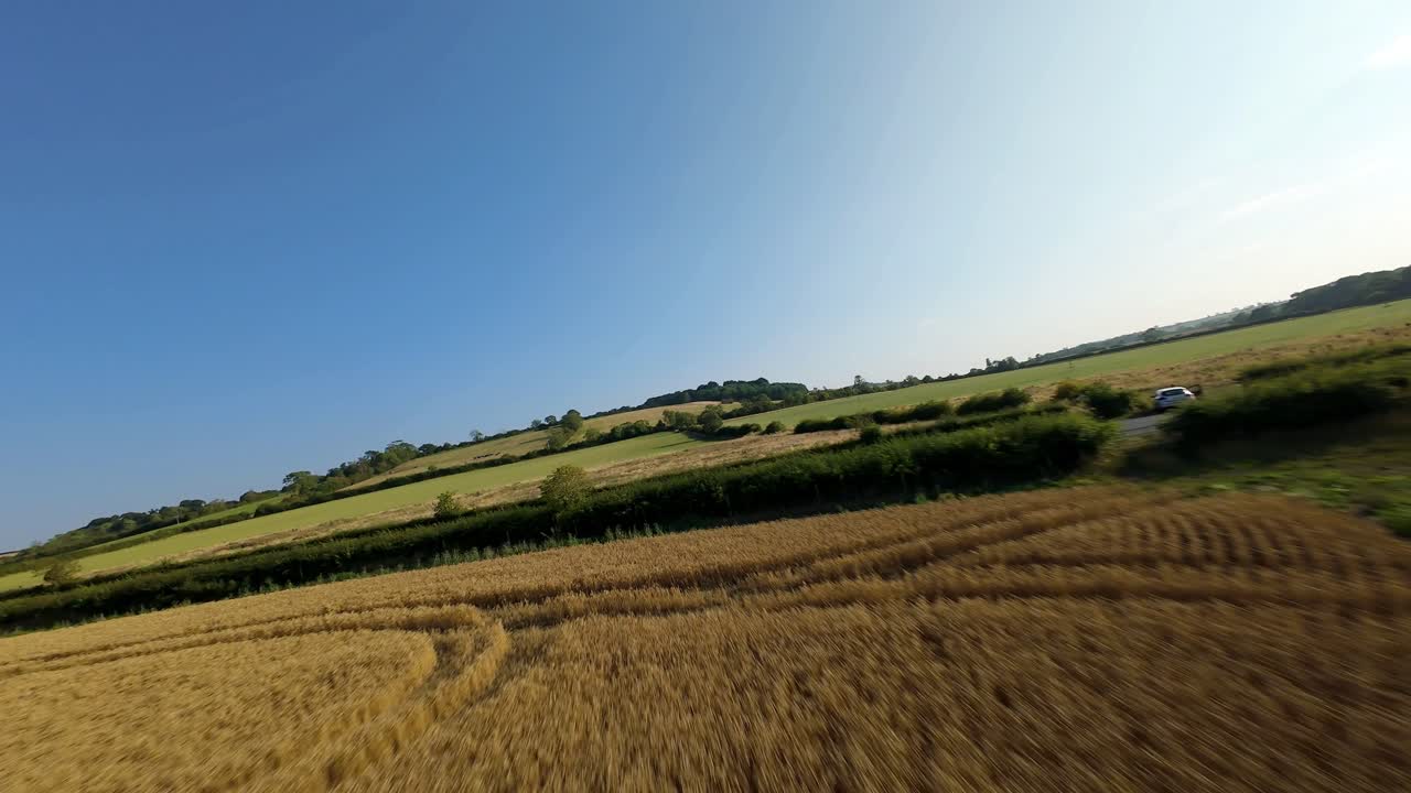 FPV aerial drone cinematic footage of golden farmland and grazing livestock animals at harvest time during sunset in Rutland countryside England UK