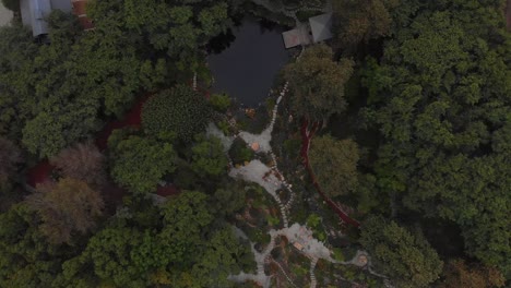 Paso-Elevado-De-Un-Camino-Cubierto-De-árboles-Y-Jardines-Botánicos-Cerca-De-Los-Establos-De-Caballos-De-Malibu