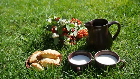 picnic in the grass with pastries and milk