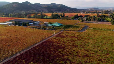 slow aerial pull back of vineyard winery farm with rolling mountains and colorful red, orange, yellow, autumn leaves on vines