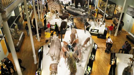 visitors explore animal exhibits in edinburgh museum