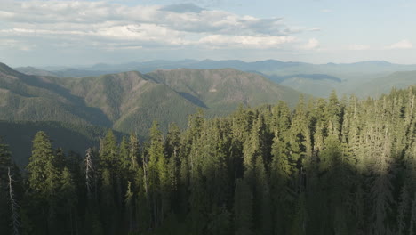 flying out of shadows over beautiful mountain lake in gifford pinchot national forest, washington state in soda peaks area.