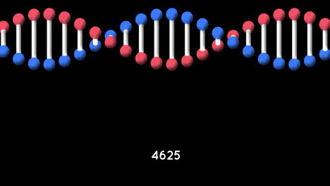 animación digital de números crecientes sobre la estructura del adn girando contra un fondo negro