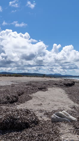 wild beach in greece in vertical