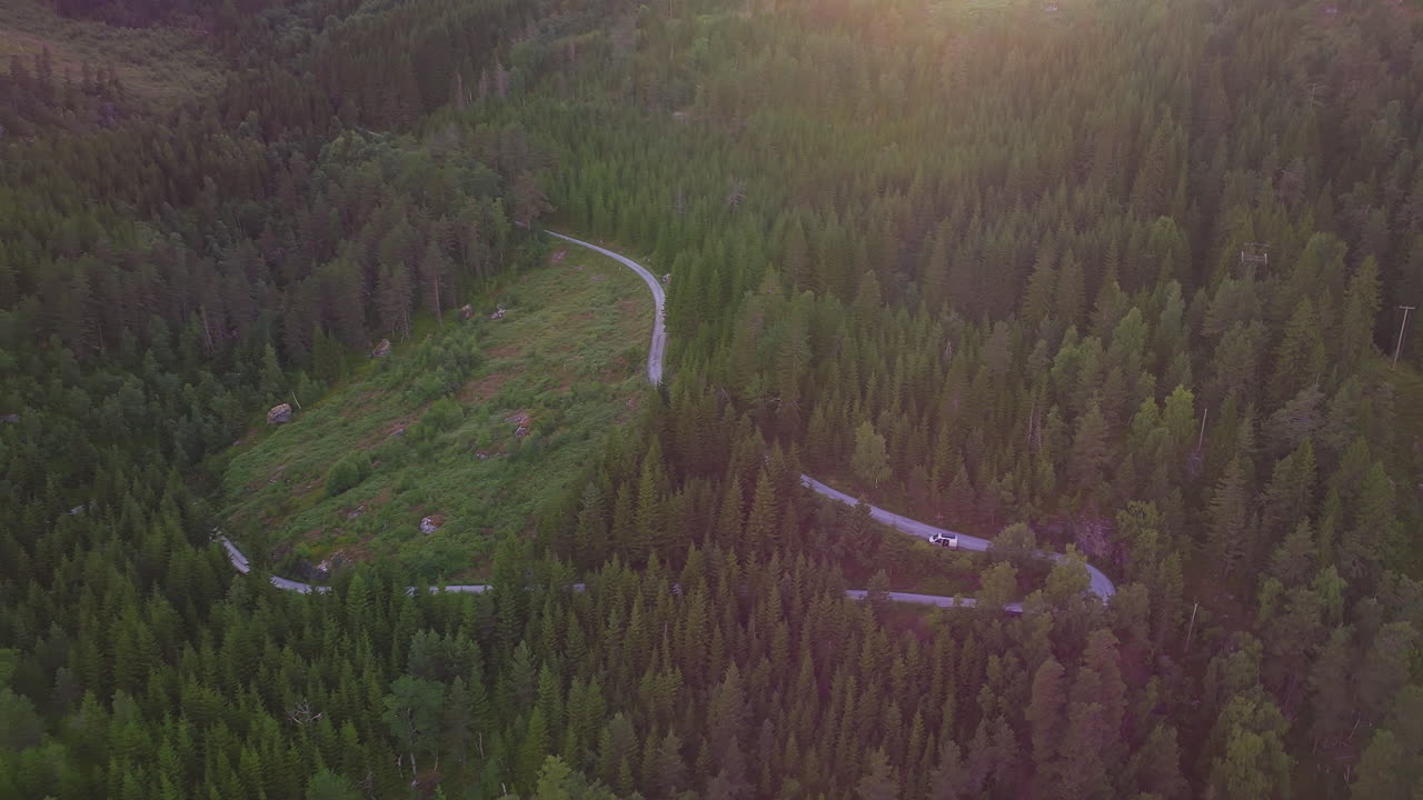 campervan estacionado en una carretera sinuosa en un denso paisaje forestal noruego