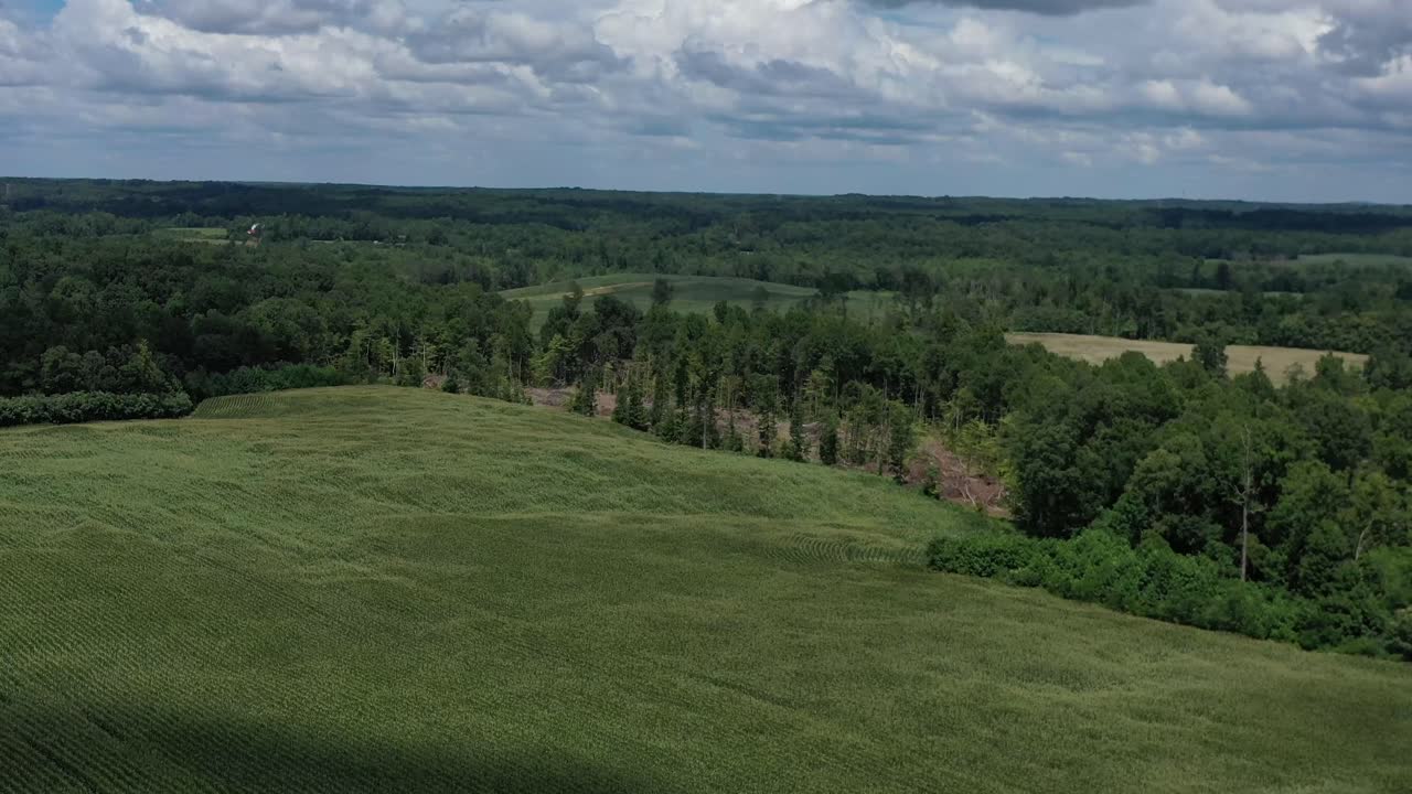 Crane shot with a drone of a cornfield