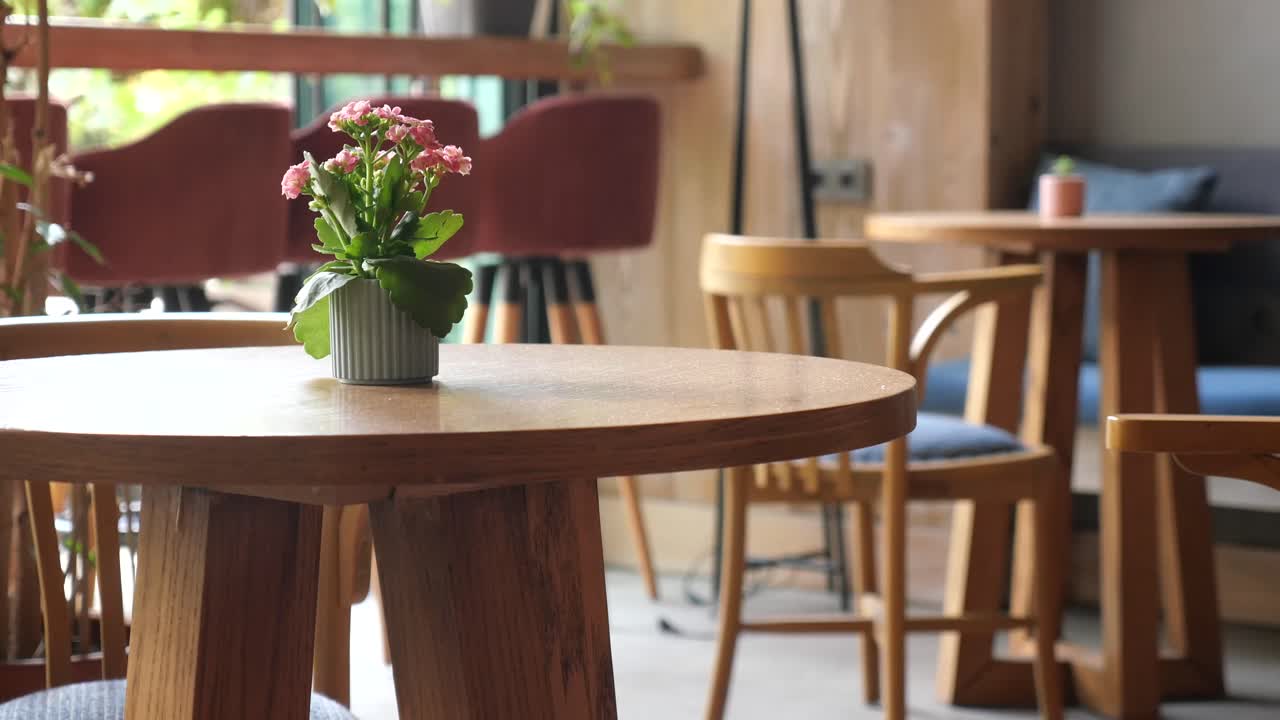 Interior with table, chairs, and flower pot