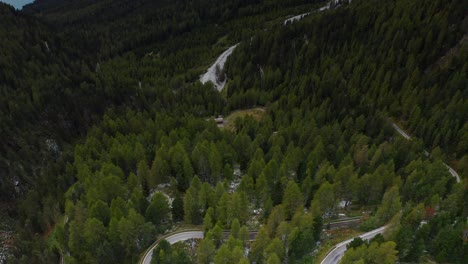 Forested-Hillside-Landscape-Leading-To-Winding-Road-At-Passo-dello-Stelvio,-Alto-Adige,-Italy