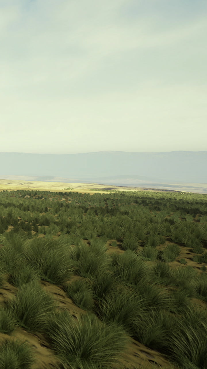 Expansive green hills stretch beneath a vast sky near a serene coastline