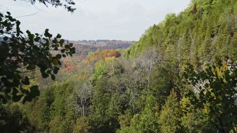 Milton,-Paisaje-Forestal-De-Ontario-En-Un-Día-Soleado-De-Otoño