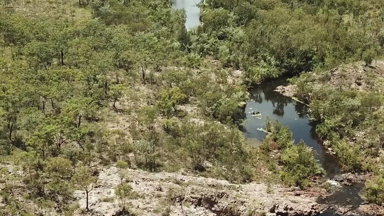 imágenes de drones que vuelan sobre la corriente de agua y el bosque en el territorio del norte