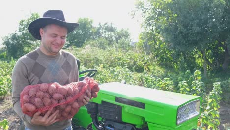 Farmer Inspects the Potato Harvest on the Background of a Green Tractor Farmer Inspects the Potato Harvest on the Background of a Green Tractor Growing Vegetables in the Countryside Vegetables are Grown Organically without Gmos