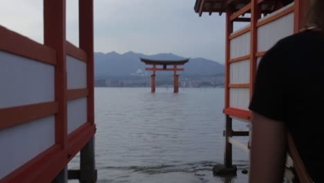 itsukushima shrine main tori