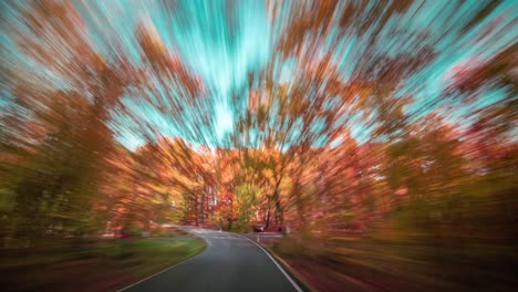 a drive through the forest on the narrow rural road in czechia