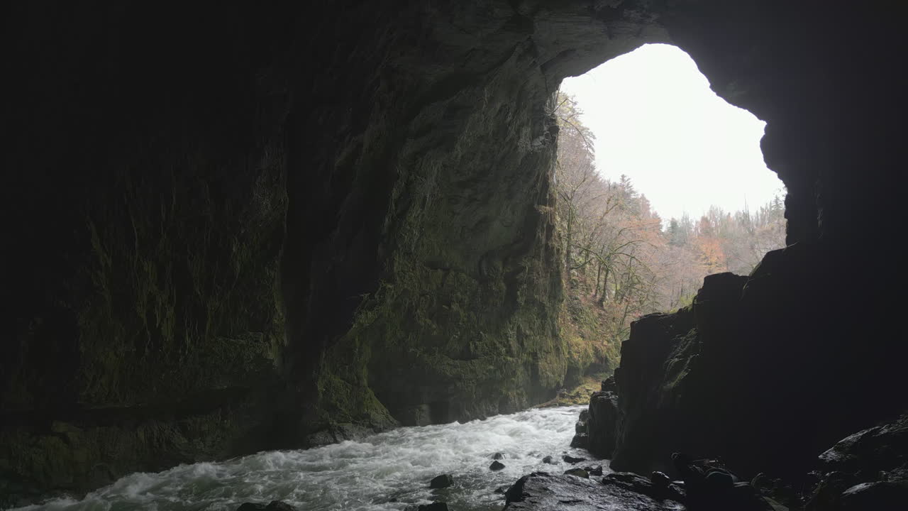 View from inside a dark cave of a wild river flowing out into a forest landscape in Slovenia