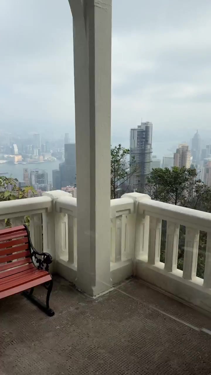 Vista panorámica vertical del paisaje urbano de Hong Kong y el Puerto de Victoria enmarcada por el follaje desde el Pico Victoria