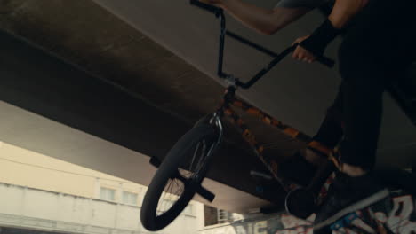 energetic boy performing tricks on bmx bicycle in public skate park.