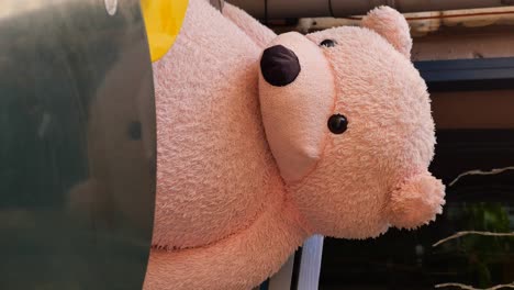 large pink teddy bear