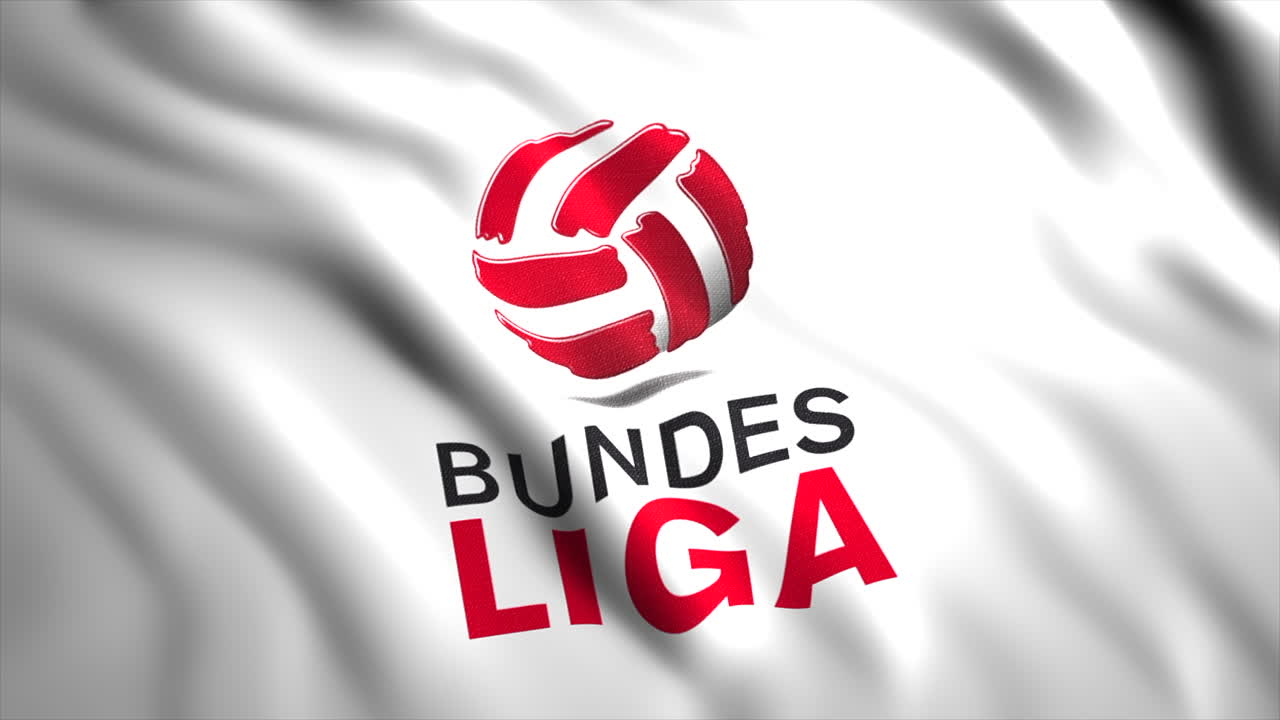 Bundesliga Flag