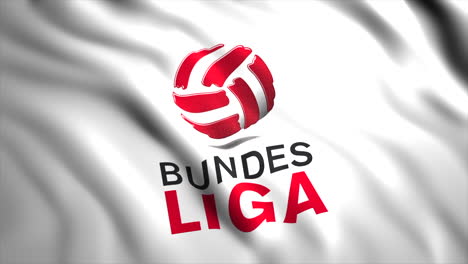 la bandera de la bundesliga
