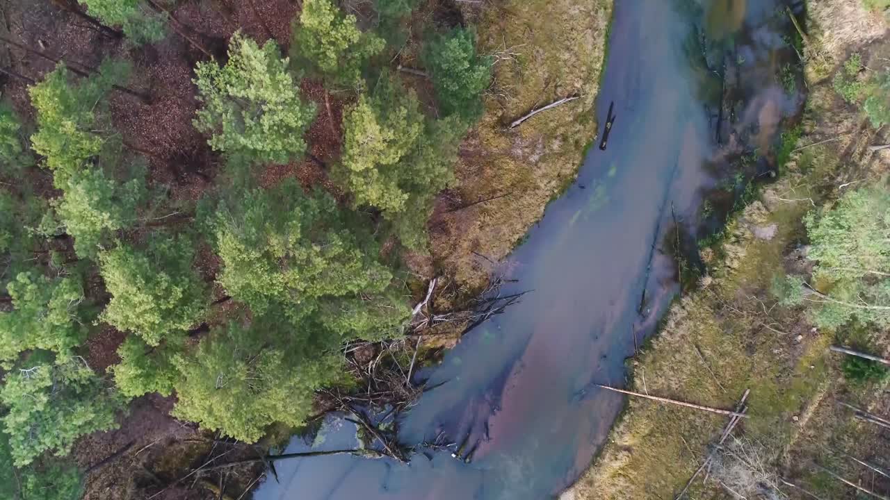 Flygning över floden Mala Panew på vintern, flygfoto ovanifrån.