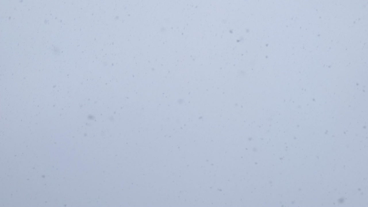 grandes copos de nieve caen contra un cielo brillante