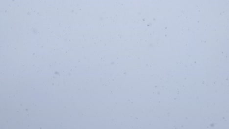 grandes copos de nieve caen contra un cielo brillante