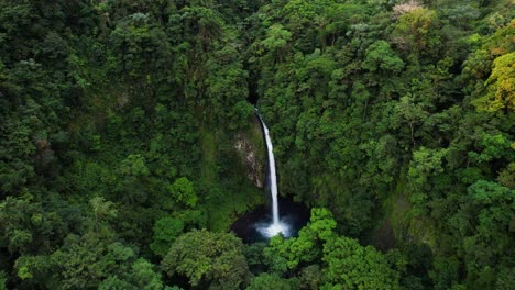 Versteckter-Exotischer-Wasserfall,-Der-In-Tropischer-Grüner-Dschungelumgebung-Fließt