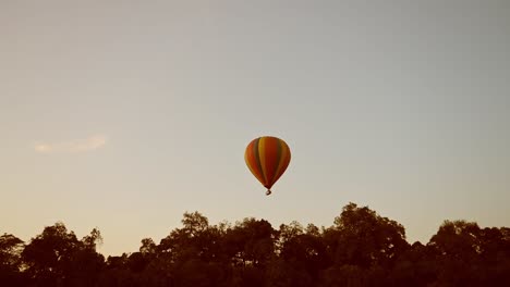 shot of hot air balloon in the sky above the tree canopy in maasai mara national reserve, kenya, africa safari animals in masai mara north conservancy