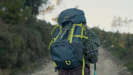 back view of a lonely hiker with backpack and trekking poles walking up dirt road in the forest on a sunny day