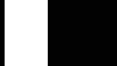 line swipe element 5 video set pack pattern luma or alpha mattes channel transition black and white