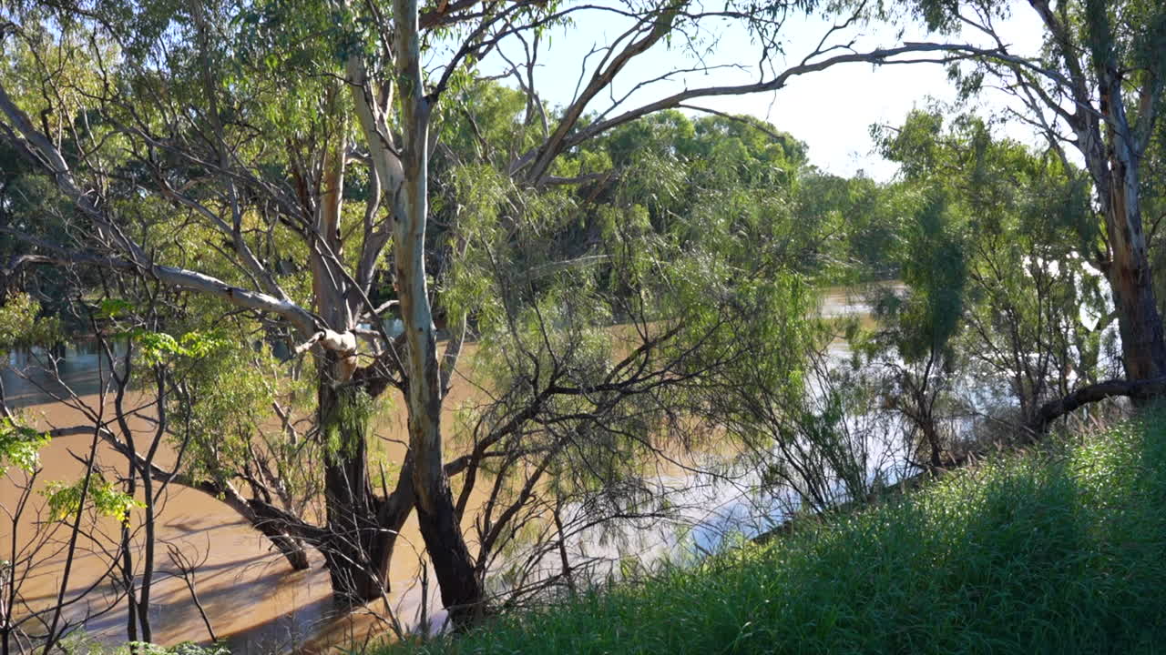 Shot of the Darling river in Bourke, NSW Australia