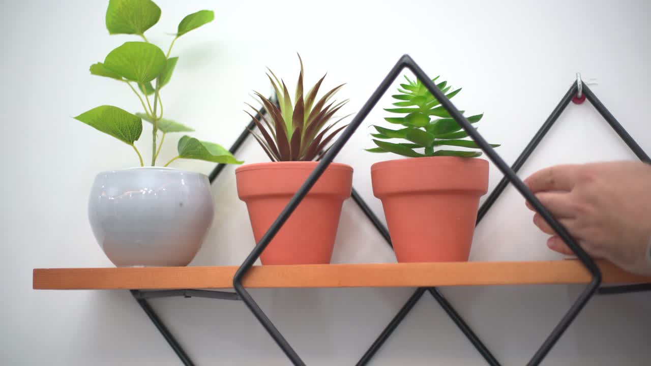 enderezar una maceta en un estante flotante en la sala de estar