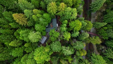 Edificio-En-Medio-Del-Bosque-De-Secoyas-En-El-Monumento-Nacional-De-Muir-Woods-En-California,-EE.UU.