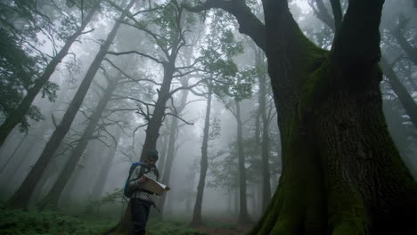 hiker navigating a misty forest with a map