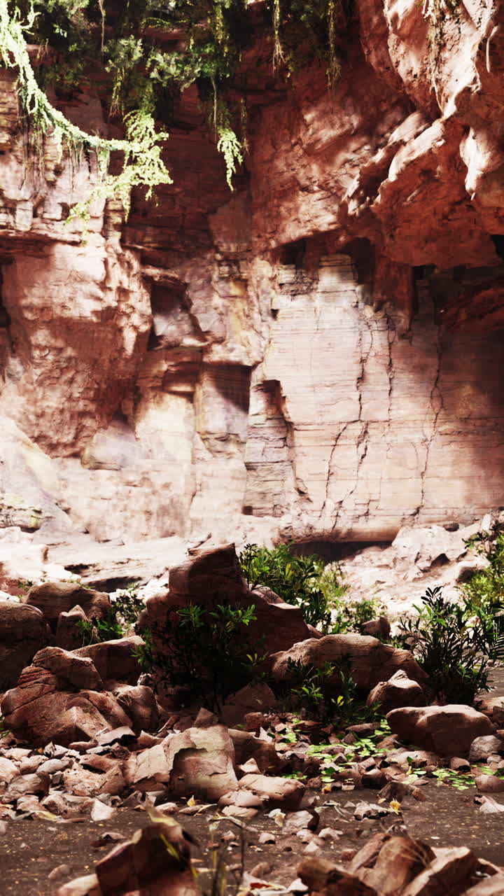 una entrada a la cueva con vegetación exuberante